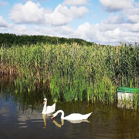 Mazurskie Klimaty Tomaszkowo